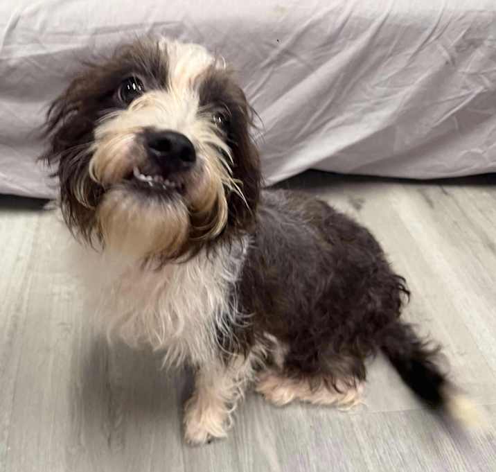 Photo of REGIE/URGENT
