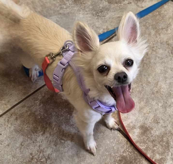 Photo of Daisy Mae