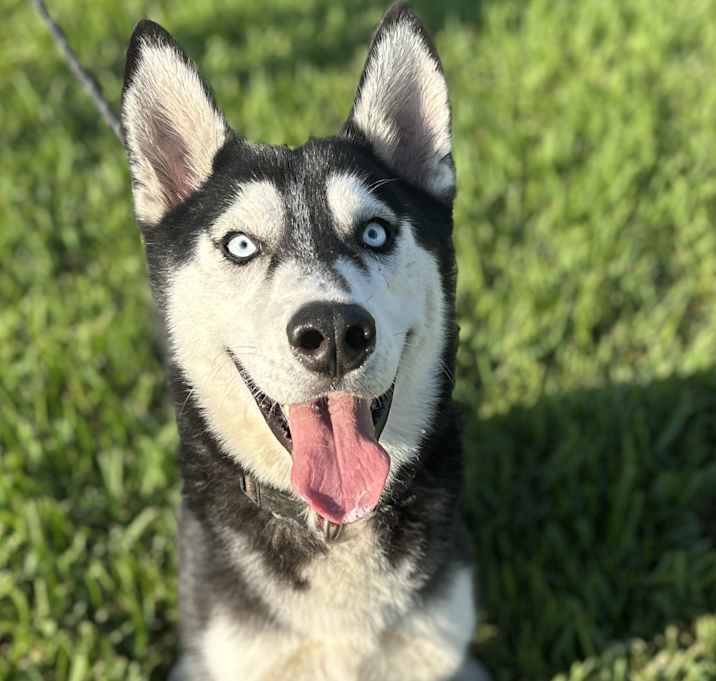 Photo of Sebastian