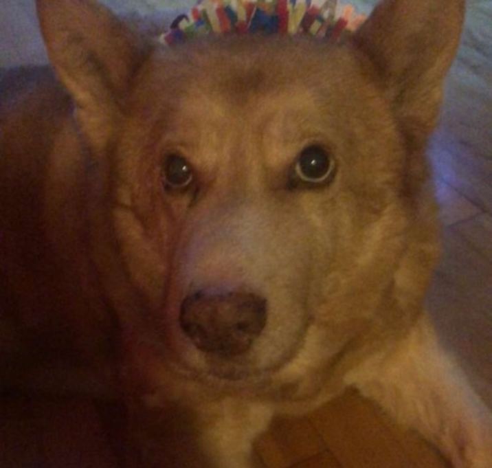 Photo of Finnigan