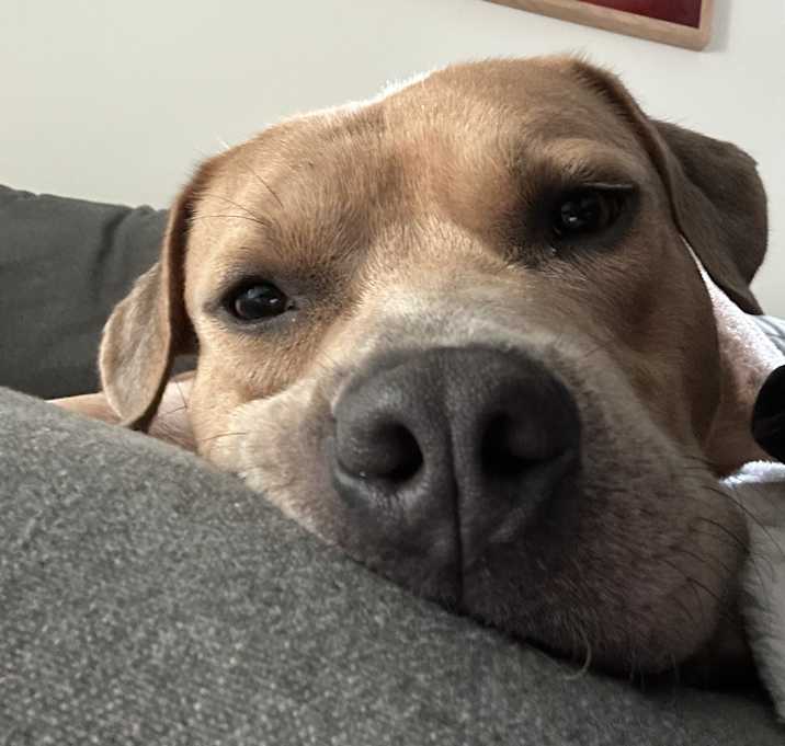 Photo of Teefers