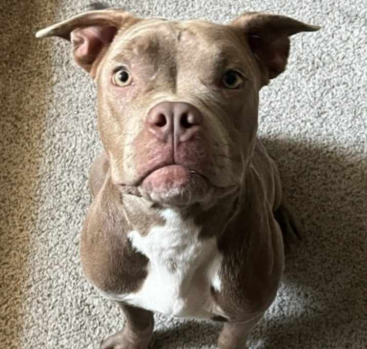 Photo of Lexi