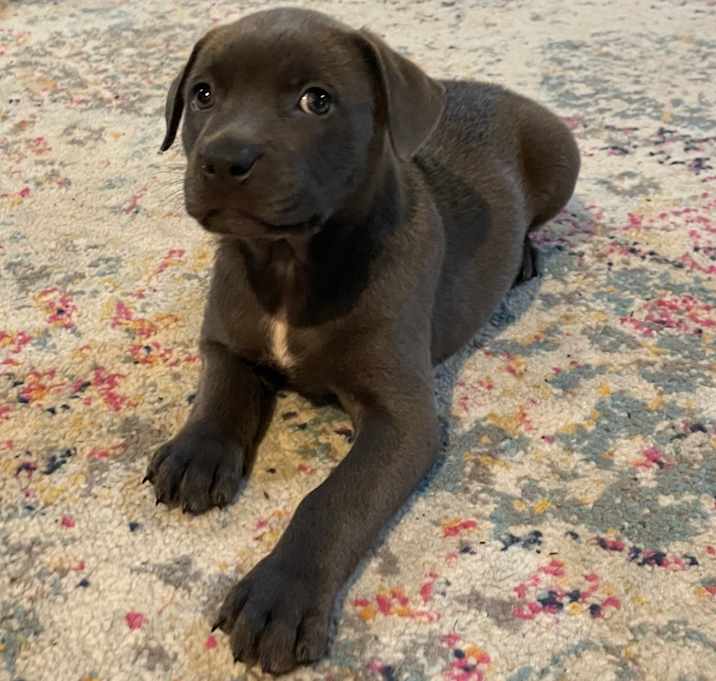 Photo of Ramona