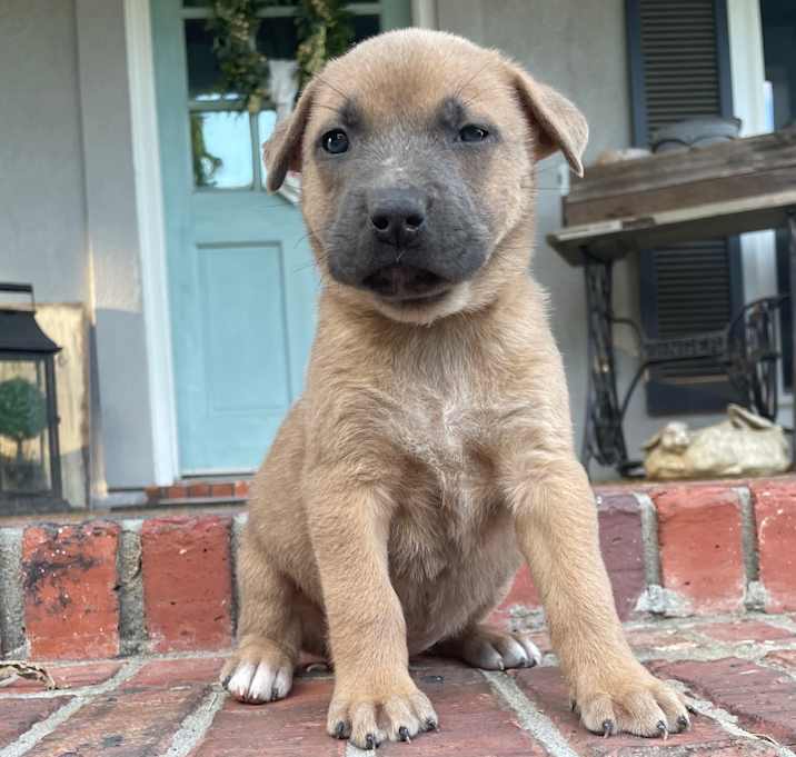 Photo of Rylee