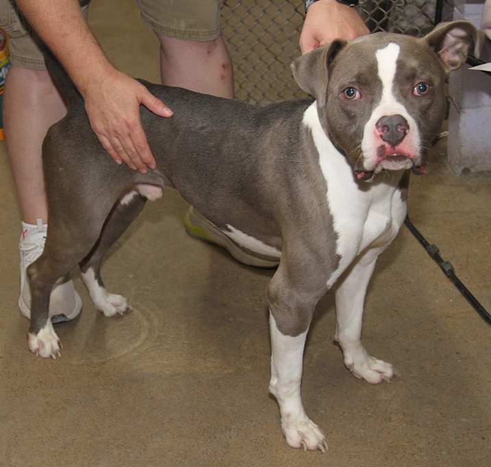 Photo of Bruno