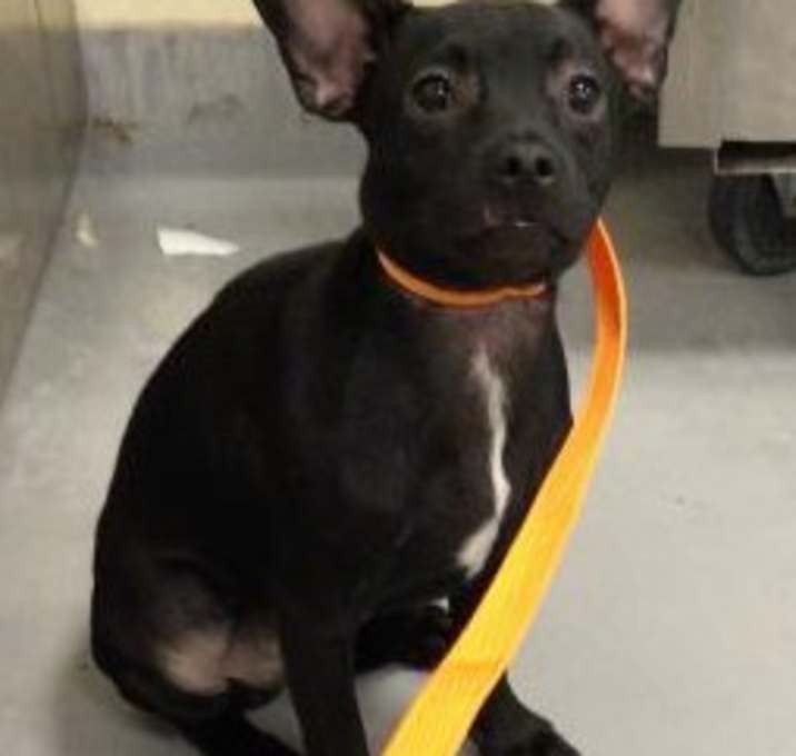 Photo of Charles aka Jojo
