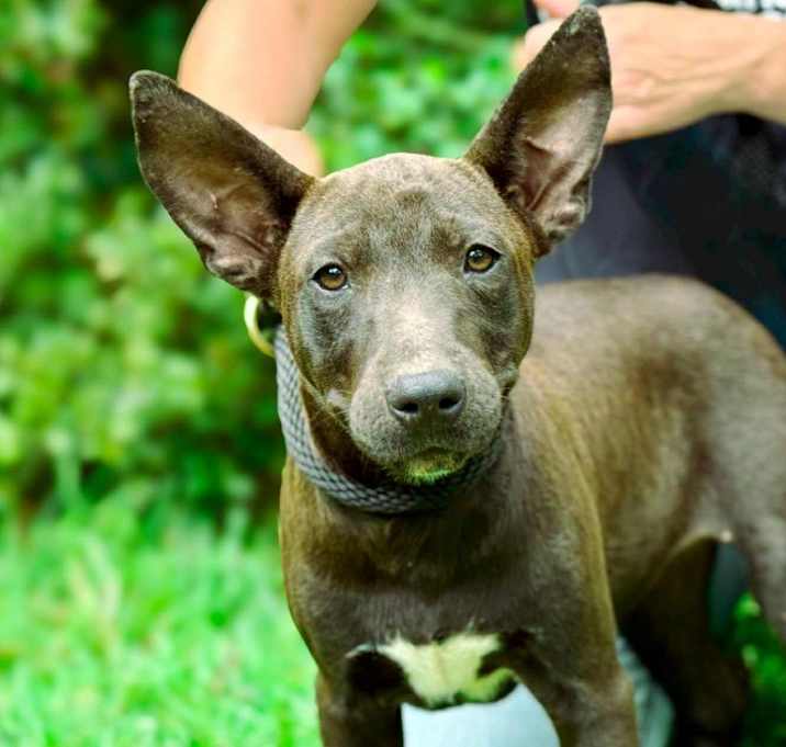 Photo of Betty