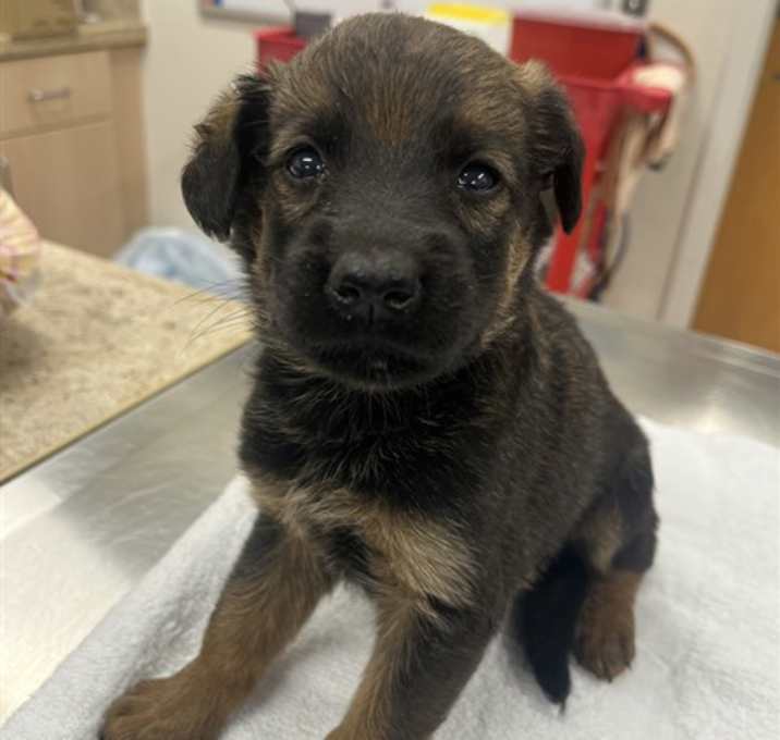 Photo of MURPHEY