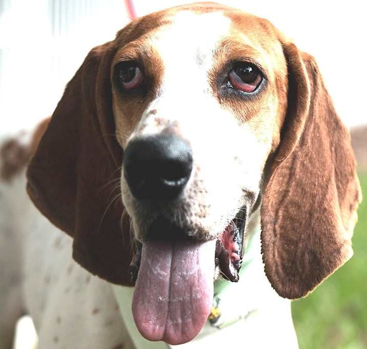 Photo of Liddy