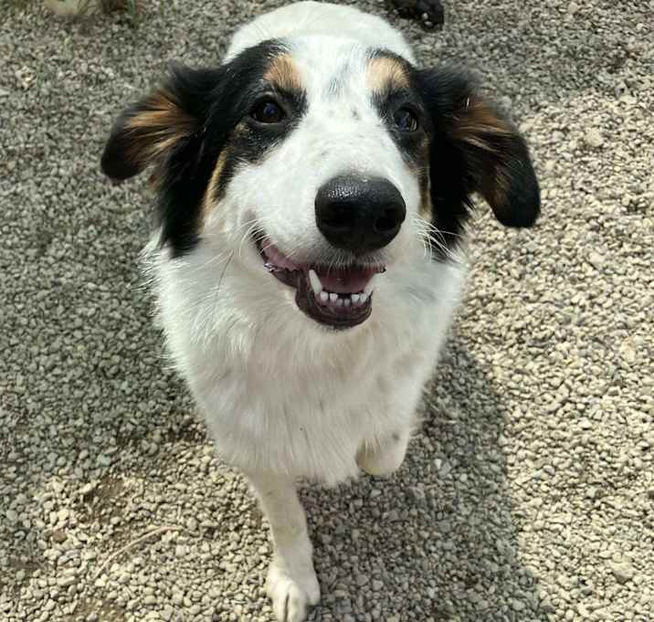 Photo of Joplin