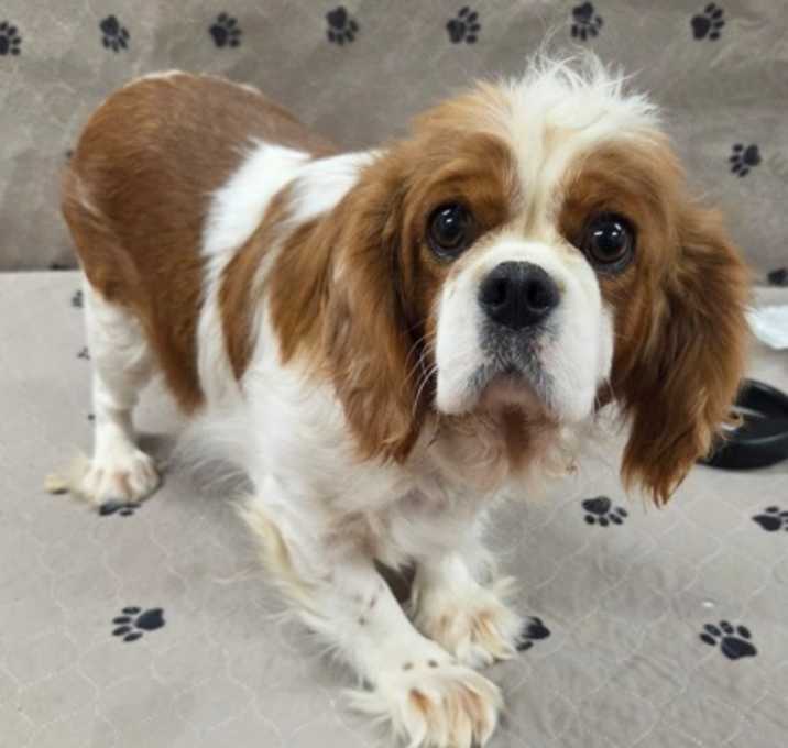 Photo of Zuzu