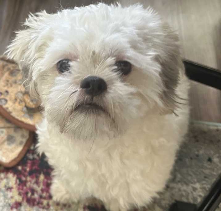 Photo of Spooky