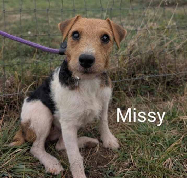 Photo of Missy