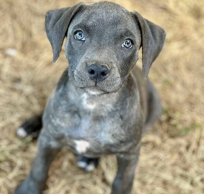 Photo of Jewel