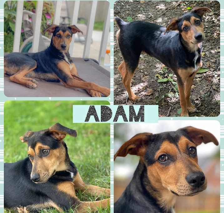 Photo of Adam