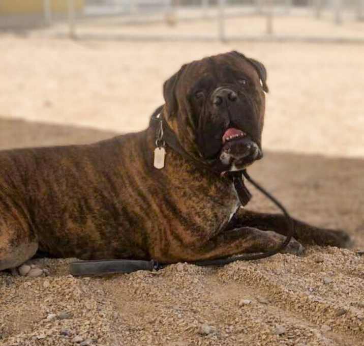 Photo of Titus