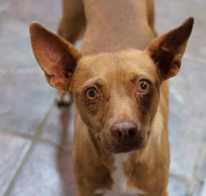 Photo of Lucy Lucy