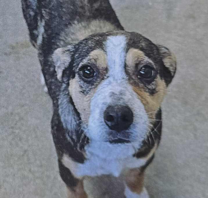 Photo of Loretta