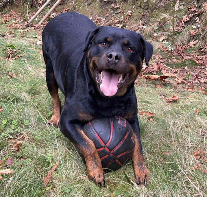 Photo of Maya