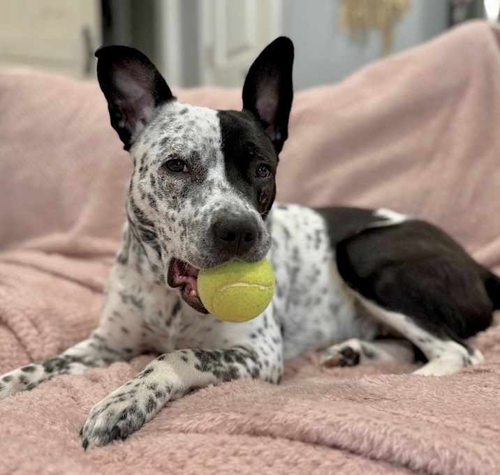 Photo of Everly aka Evie