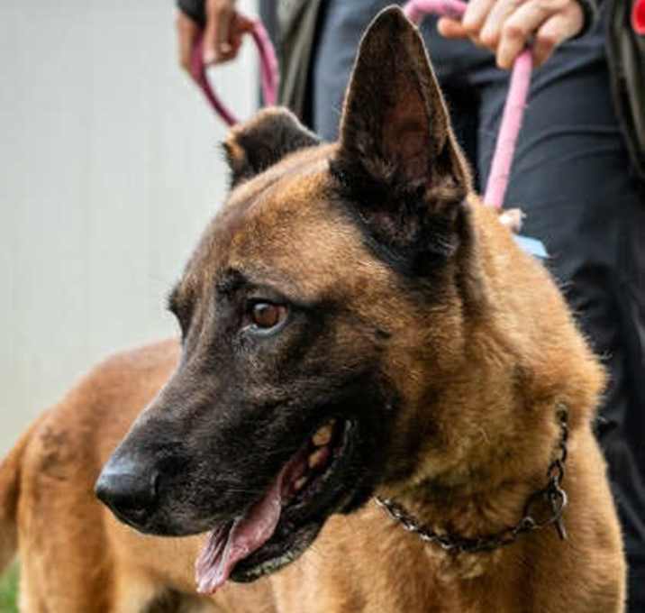 Photo of Tiago - Located in Florida