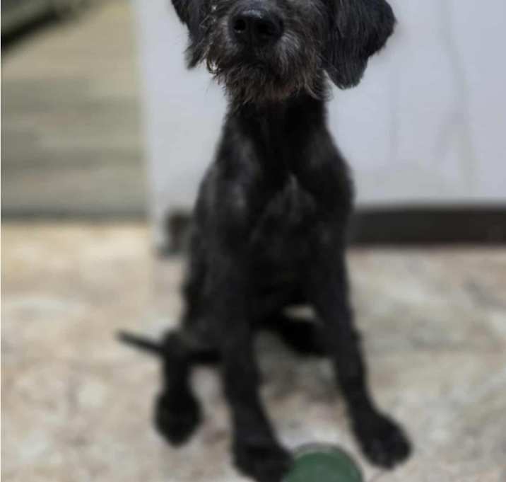 Photo of Flopsie