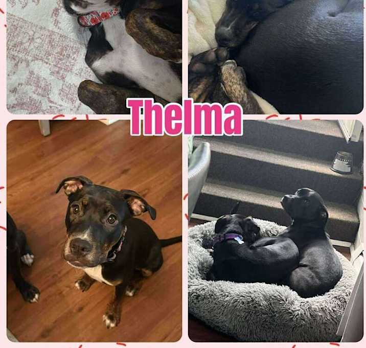 Photo of Thelma