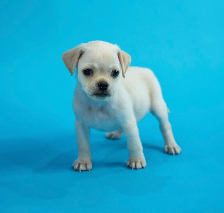 Photo of Skeeter