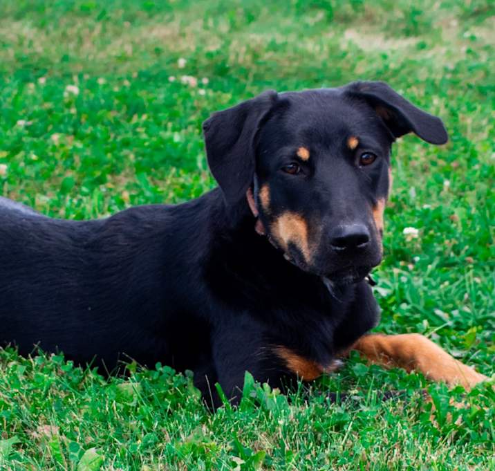 Photo of Marcy