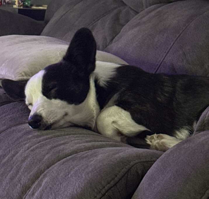 Photo of Ralph