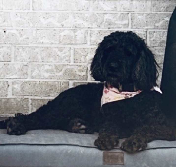 Photo of Sweetheart