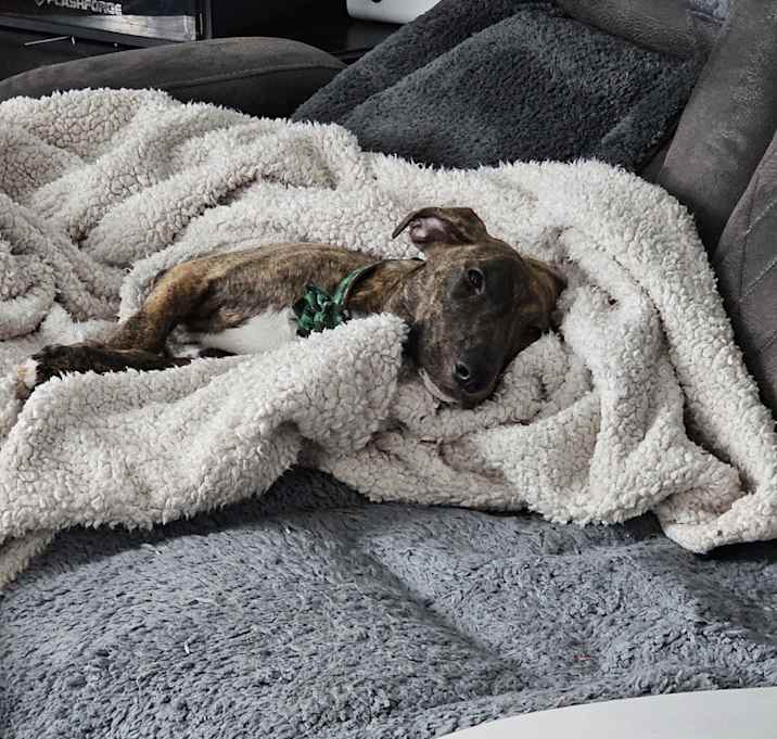 Photo of Fiona