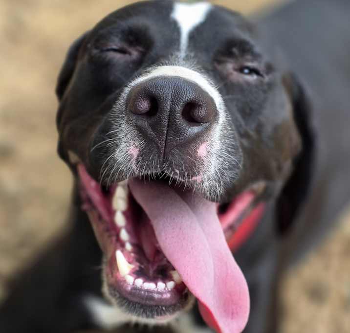 Photo of Prince Charming