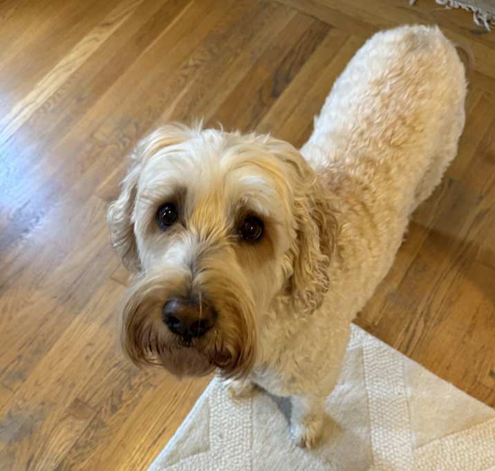 Photo of Gus