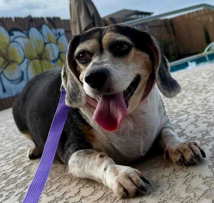 Photo of Abby 2