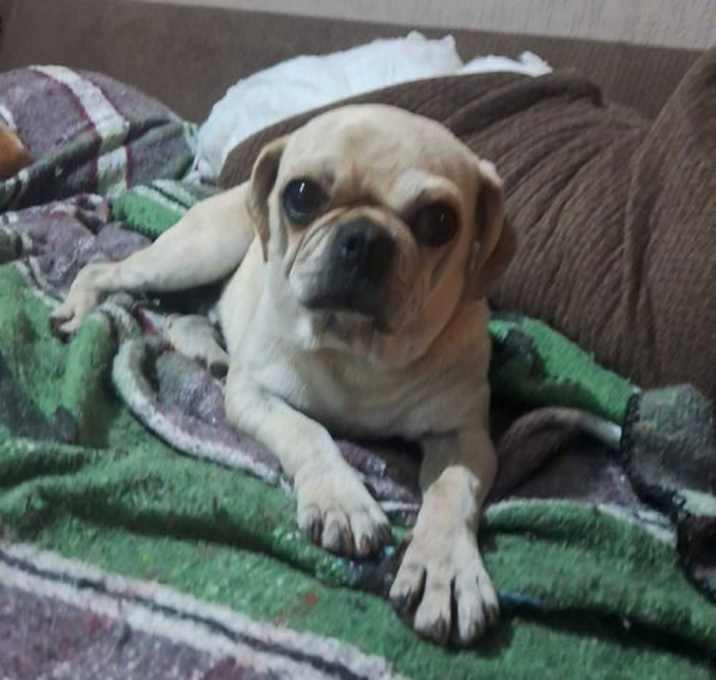 Photo of Jake