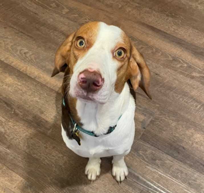 Photo of Tuck