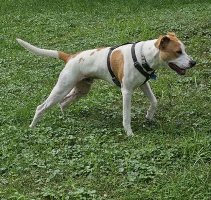 Photo of Chilly