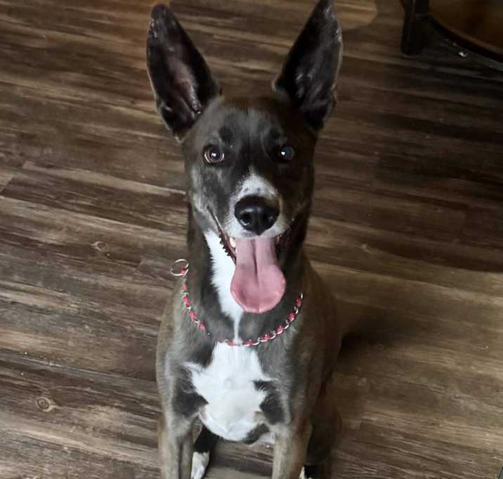 Photo of Saint Charles