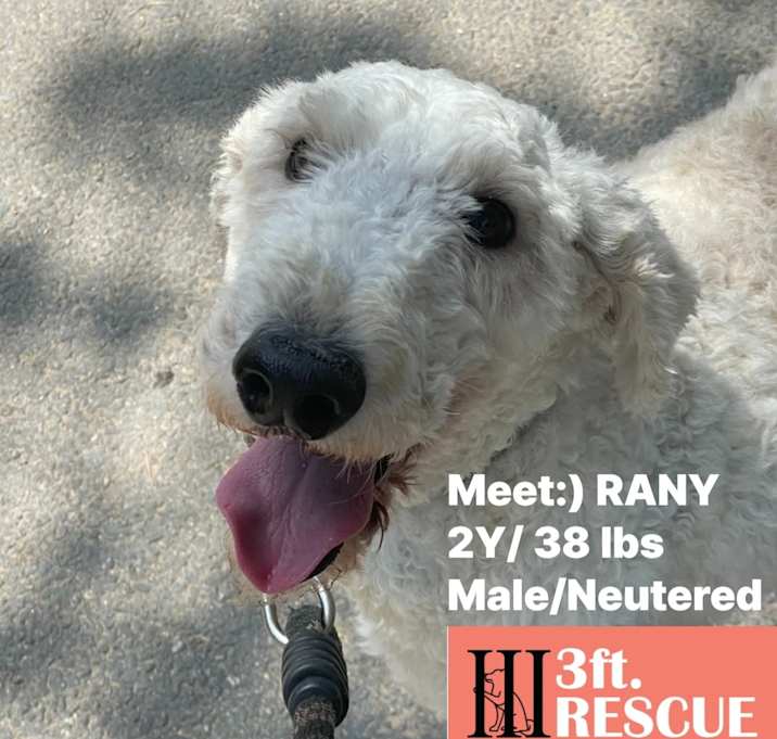 Photo of Rany