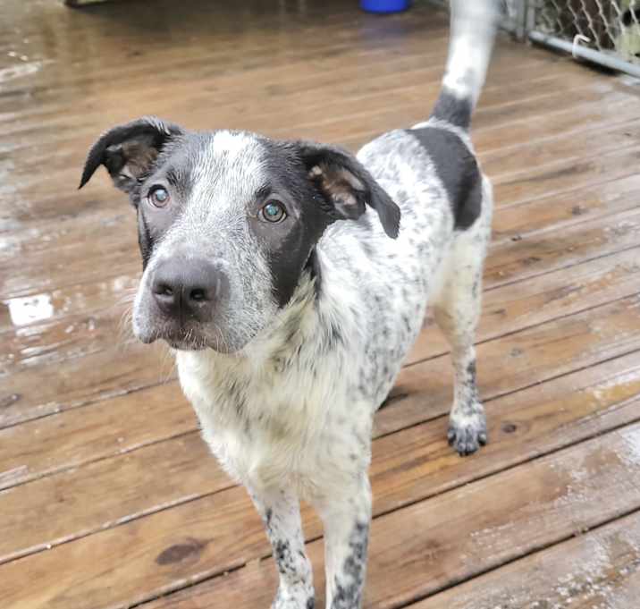 Photo of Oakley in CT