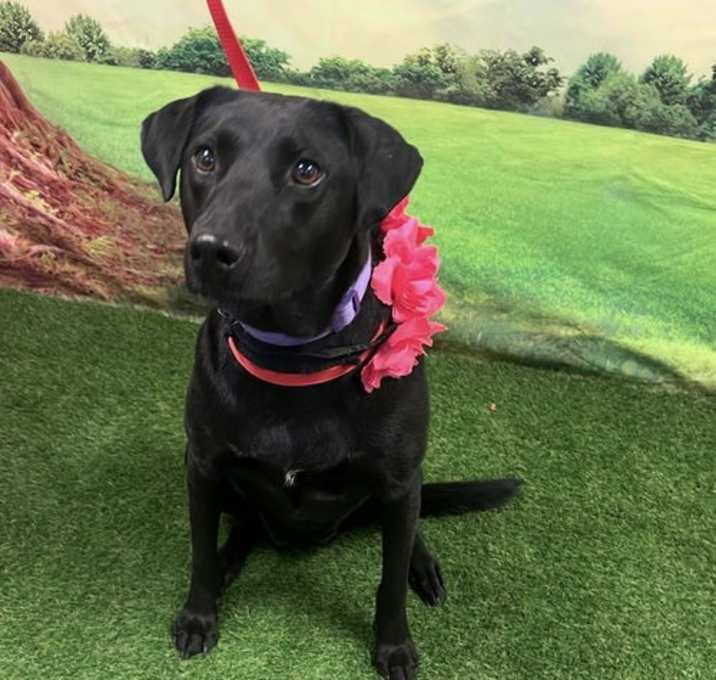 Photo of Nellie