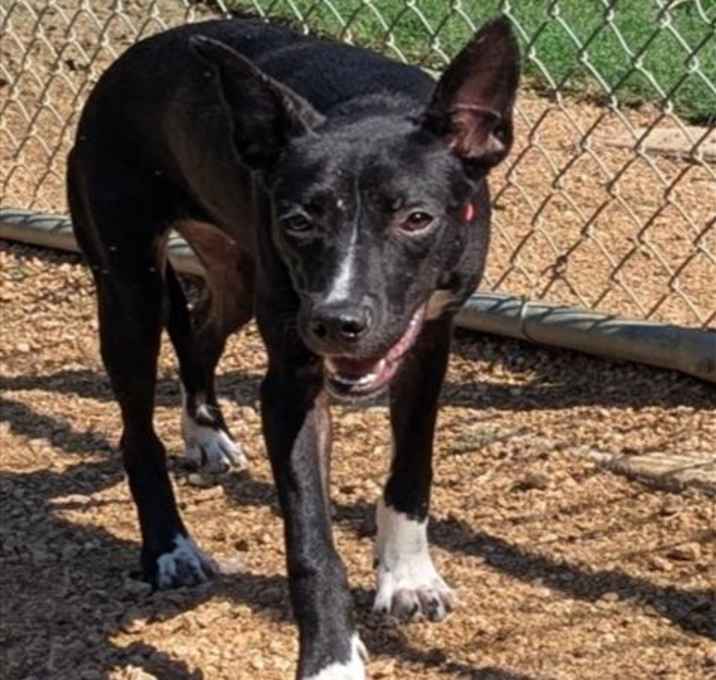 Photo of ELLIE MAE