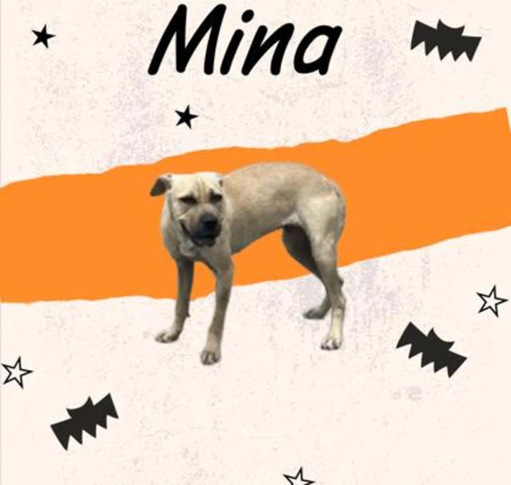 Photo of Mina