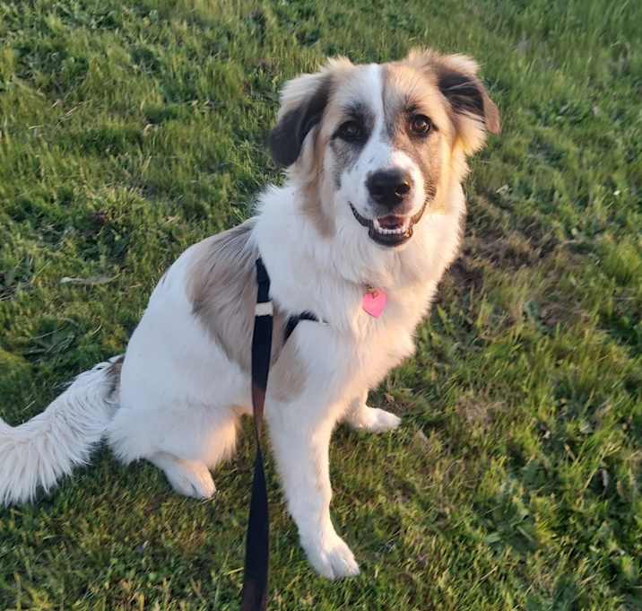 Photo of Remi