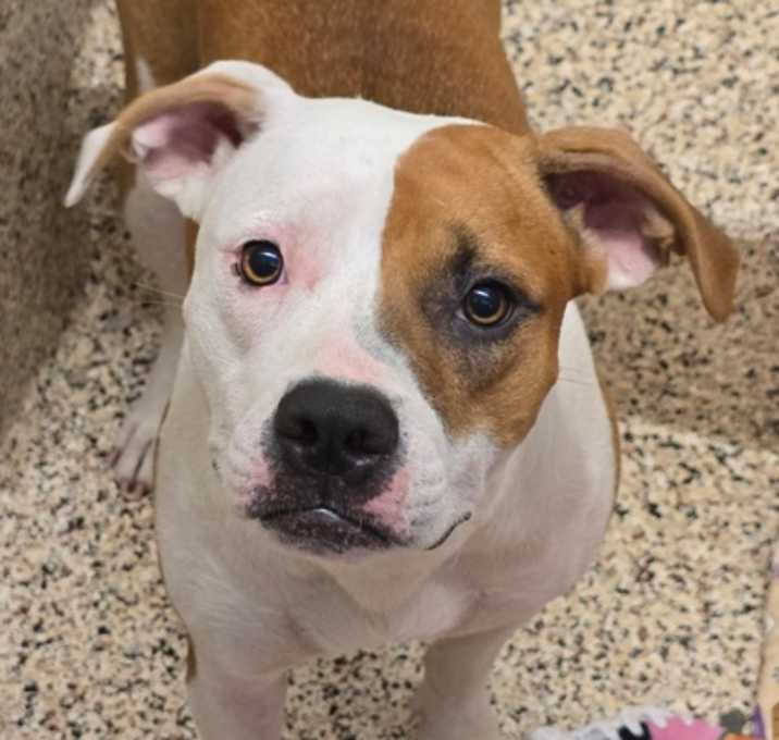 Photo of Dixxy 59536