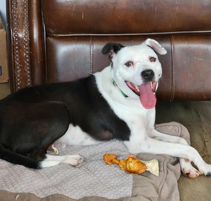 Photo of Louie