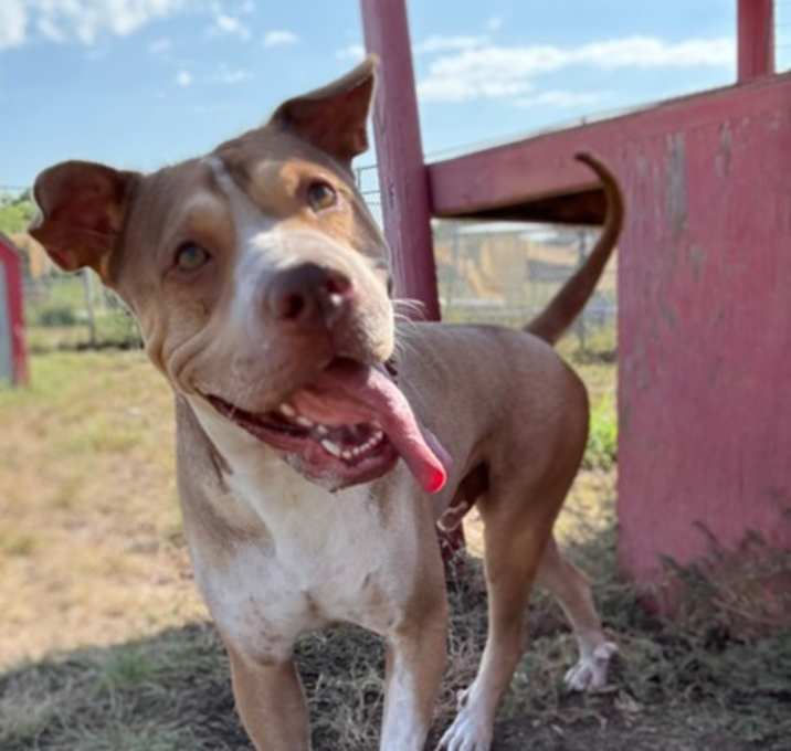 Photo of Bruce