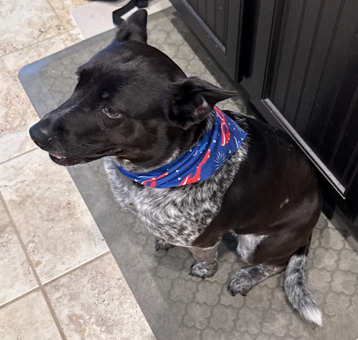 Photo of Trixie