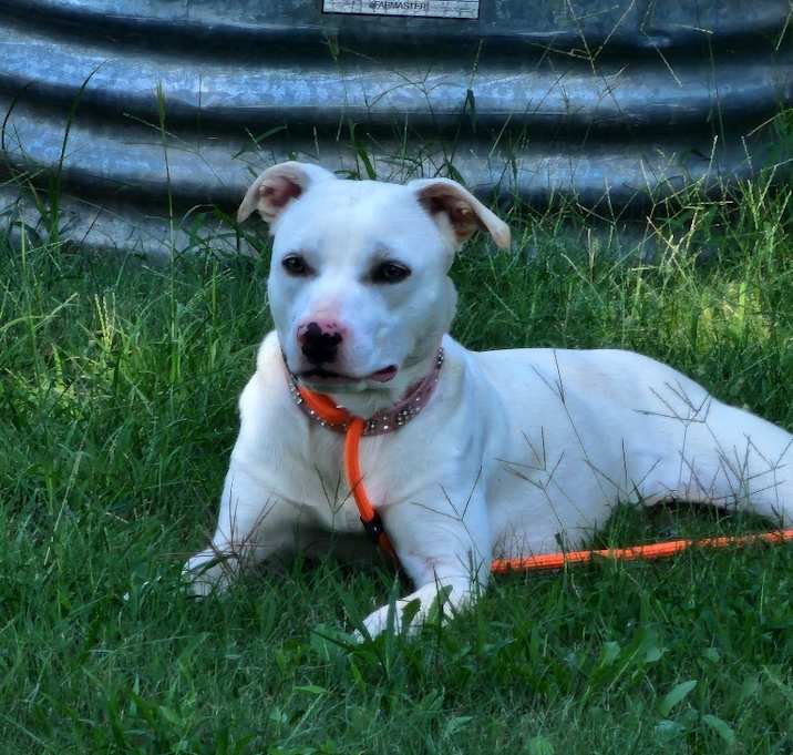 Photo of Blanca AKA Sabrina